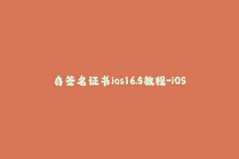 自签名证书ios16.5教程-iOS 16.5自签名证书详细教程分享
