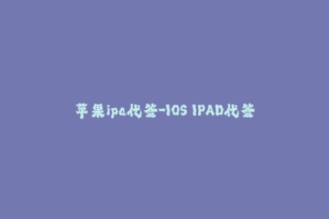 苹果ipa代签-IOS IPAD代签-苹果应用IPA一键安装服务
